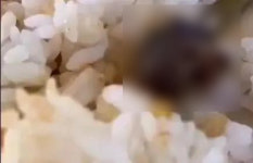 대학식당 밥에서 쥐 머리 나왔는데 오리고기 해명…中 이물질 사태 후폭풍