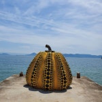 [조성관의 세계인문여행]나오시마에 예술의 향기를 입힌 사람들