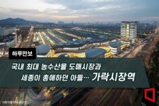 [하루만보]국내 최대 농수산물 도매시장과 세종이 총애하던 아들…가락시장역