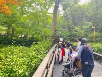 관악산 무장애 숲길 향기 숲산책 프로그램 운영