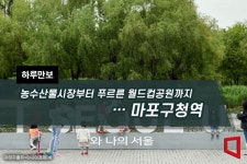 [하루만보]농수산물시장부터 푸르른 월드컵공원까지…마포구청역