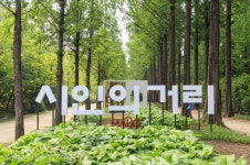 마포구 난지 테마관광 숲길·시인의 거리 조성