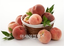 맛과 향 가득한 명품전주복숭아 맛보세요