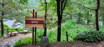 [하루만보] “옛 산골마을 숲길의 정취를 그대로”…충북 괴산 산막이옛길