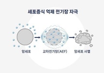 김도형 뉴아인 대표 전자약, 뇌 넘어 눈·항암 치료까지 가능해