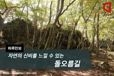 [하루만보]자연의 신비를 느낄 수 있는 돌오름길