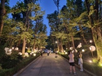관악구 낙성대공원 내 별빛산책길 새롭게 탄생