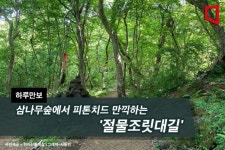 [하루만보]삼나무숲에서 피톤치드 만끽하는 절물조릿대길
