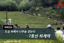 [하루만보]도심 속에서 나무숲 걷는다…7호선 하계역