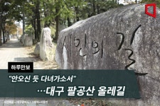 [하루만보]안오신 듯 다녀가소서…대구 팔공산 올레길