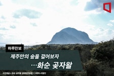 [하루만보]제주만의 숲을 걸어보자…화순 곶자왈