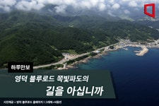 [하루만보]영덕 블루로드 쪽빛파도의 길을 아십니까