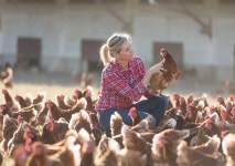 꼬끼오도 AI 번역…日 연구진 개발