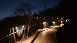 [하루만보] ‘만인의 발걸음을 허락한 길’ 만수산 무장애 숲길