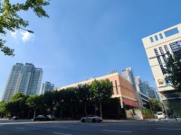 강남구 도곡로 1.16km 지중화