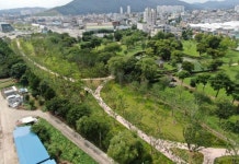 전남도 기후대응 도시숲 조성 사업비 359억 확보