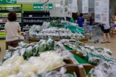 내년부턴 녹두·대파·당근·고사리 등 수입농산물 유통이력 추적·관리