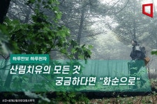[하루만보 하루천자]산림치유의 모든 것 궁금하다면 화순으로