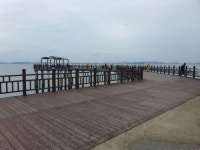 화성시, 궁평항·제부항 바다낚시터 단장