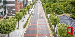 원형·사각형 특색있는 가로수…인천시내 28곳 가로수길 정비
