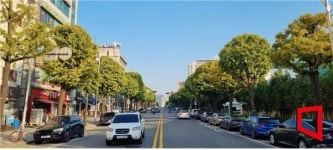 원형·사각형 특색있는 가로수…인천시내 28곳 가로수길 정비
