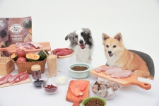 [NE]스타트업 림피드, 국내 첫 슈퍼그레인 사료 출시