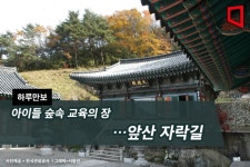 [하루만보] 아이들 숲속 교육의 장…앞산 자락길