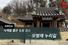 [하루만보]사계절 좋은 도보 코스…모명재 누리길