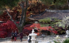 [하루만보]도심 속 선인 따라 사색해보기…성북동 한바퀴