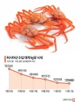 연말에 대게 파티?…킹크랩 이어 대게 가격도 반토막