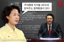 추미애 