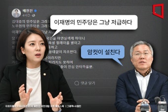 배현진 
