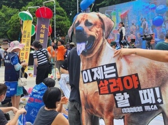 육견협회 