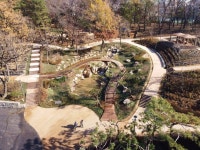 노원구 초안산 수국동산 조성 권역별 힐링타운 완성