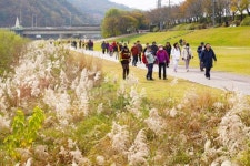 [하루만보 하루천자]경기옛길 봉화길 개통…하남에서 이천까지