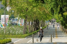 송파구 위례성대로 무궁화동산 전국 1위 무궁화 명소 선정