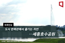[하루만보]도시 한복판에서 즐기는 자연…세종호수공원
