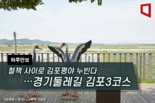 [하루만보]철책 사이로 김포평야 누빈다…경기둘레길 김포3코스