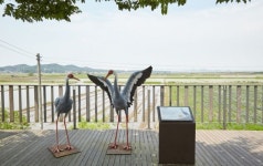 [하루만보]철책 사이로 김포평야 누빈다…경기둘레길 김포3코스