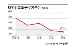 워크아웃 태영건설 내리막…건설주 투심 악화 불가피