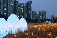 동대문구 전농동 지식의 꽃밭 반딧불이 조명옷 입다