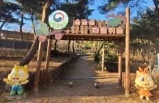 “숲은 아이들 놀이터” 산림청, 유아숲체험원 안전 예산 늘린다