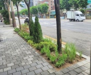 걸으면서 만나는 미니 정원…영등포구 ‘정원형 띠녹지’ 조성