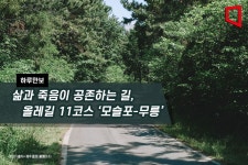[하루만보]삶과 죽음이 공존하는 길, 올레길 11코스 ‘모슬포-무릉’