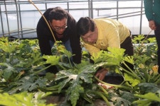 이상근 고성군수, “설에는 맛있는 주키니호박 구입하세요”