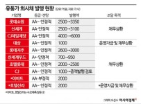 자금 조달 나선 유통가…이마트, 이번에도 흥행할까