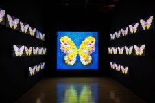 [이주의 전시]오산시립미술관 변화와 변환展·강예신 개인전 Dreamy Dimensions 外