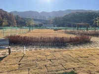 창원특례시, “시민 누구나 가포파크골프장 이용하세요”