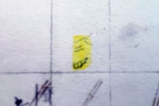 토지대장 124평, 실평수 34평…기록 실수 누구 책임?