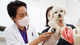 담양군, 사람과 동물의 행복한 공존…문화 조성 박차